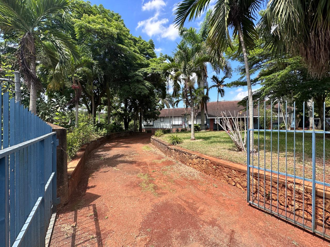 House for Rent   Kingston 8
