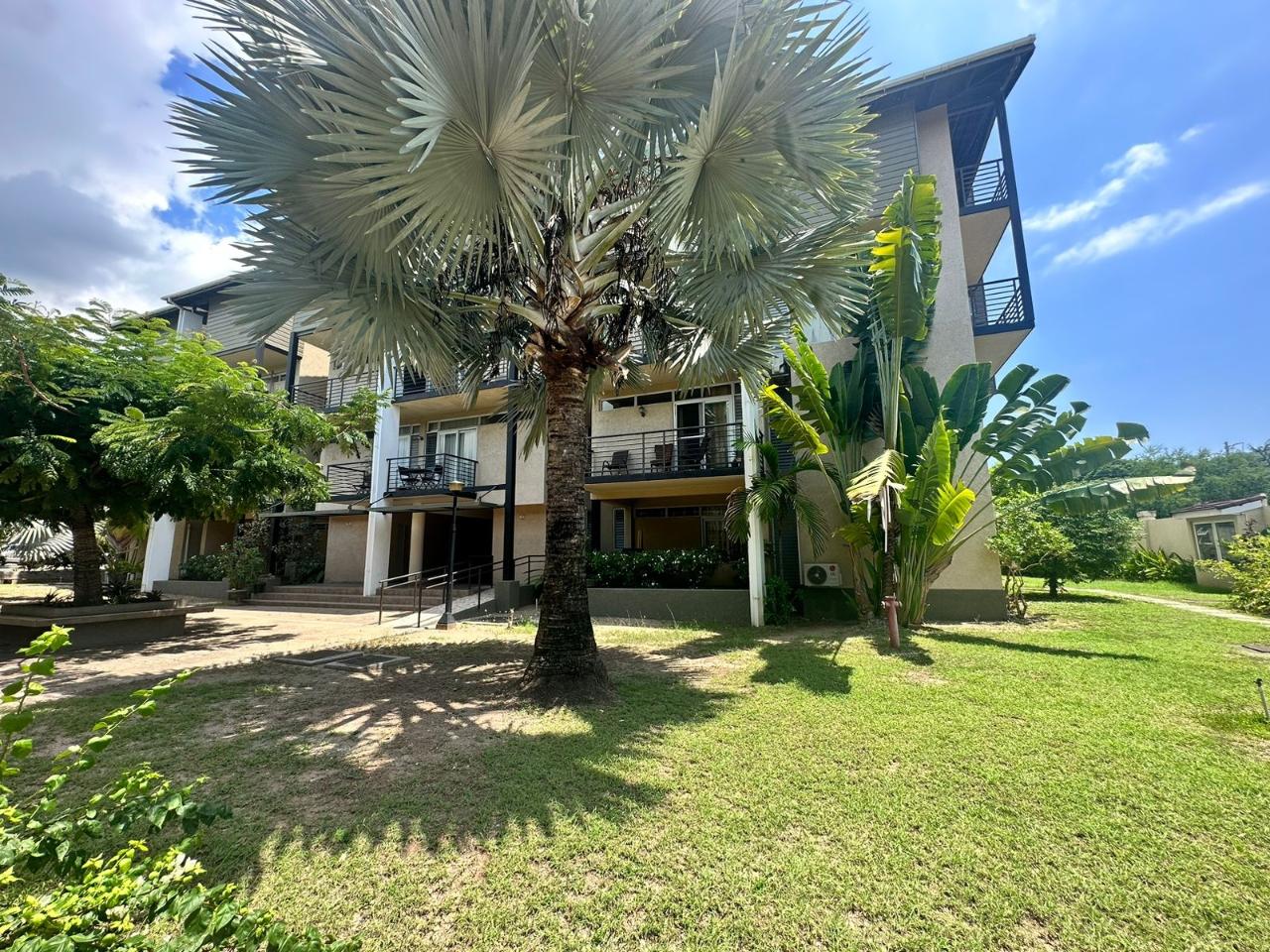 Apartment for Sale   Kingston 6