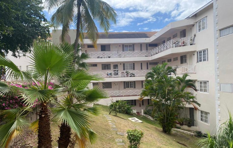 Apartment for Rent   Kingston 6