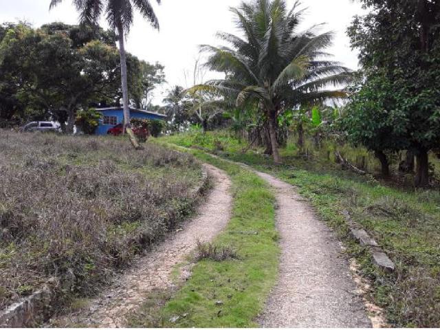 House for Sale   Linstead