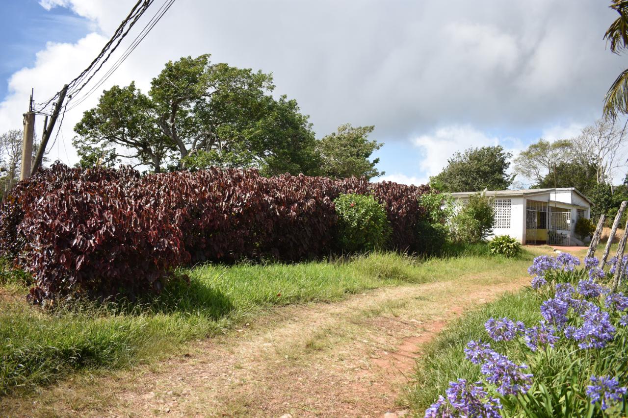 House for Sale Spur Tree