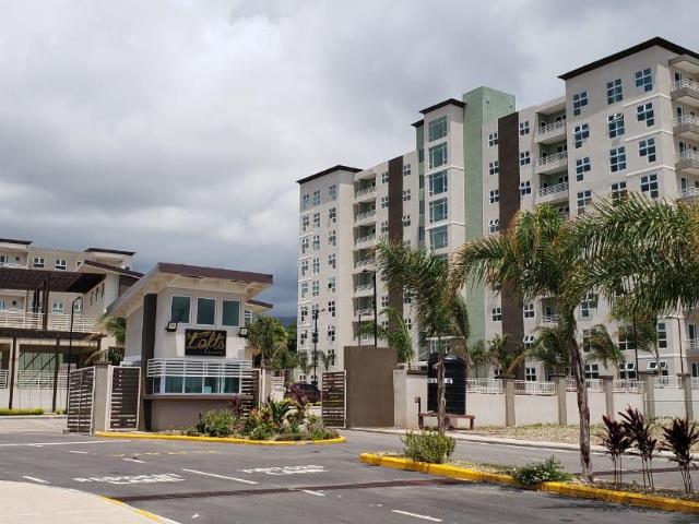Apartment for Rent   Kingston 6