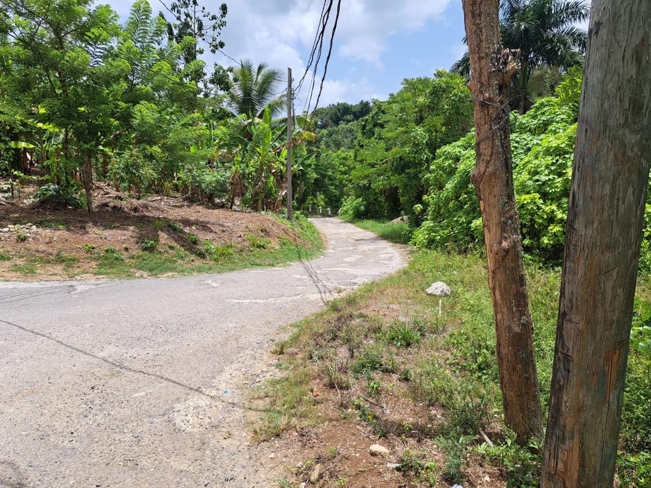 Residential Lot for Sale   Lodge