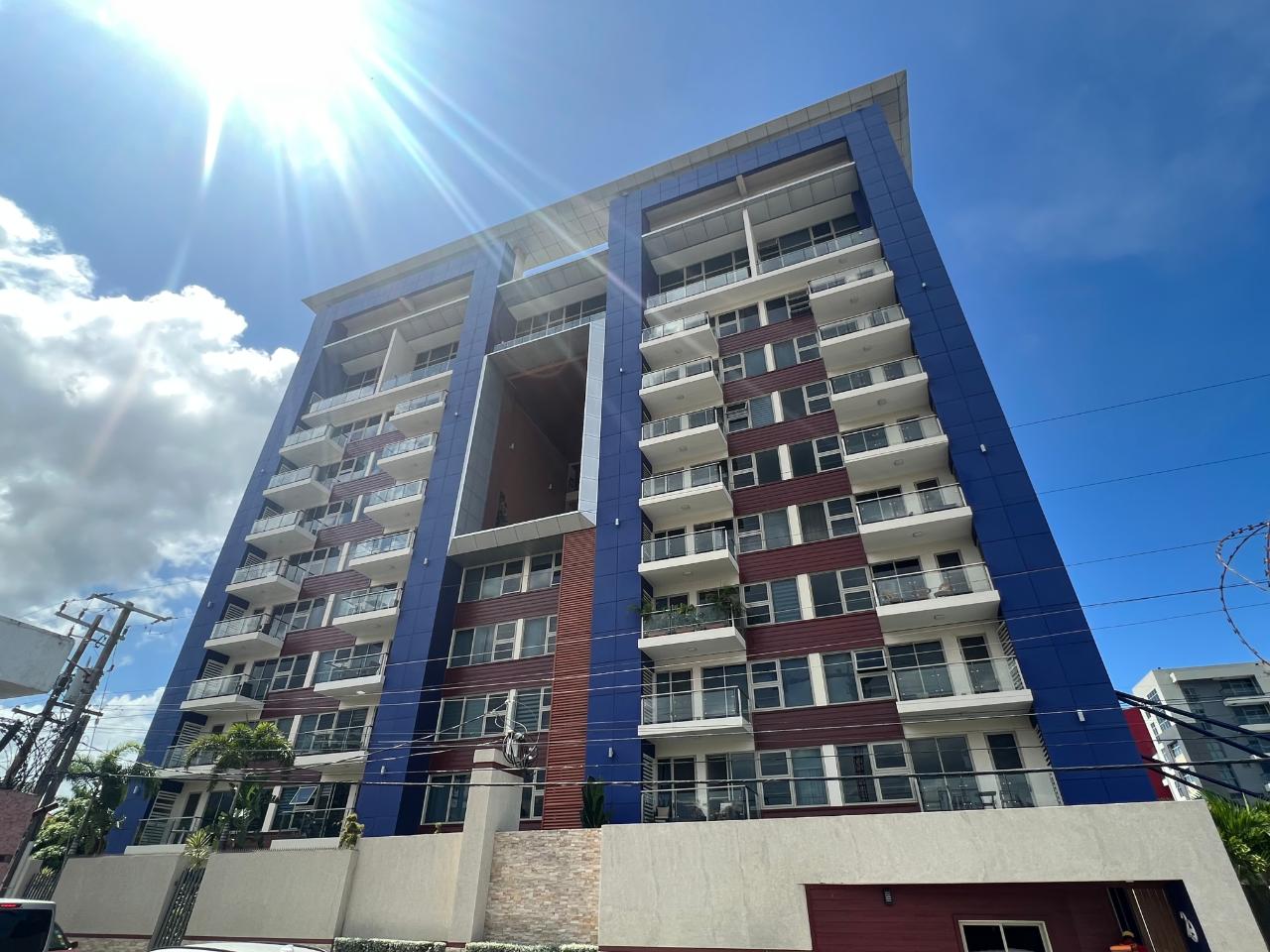 Apartment for Rent   Kingston 10