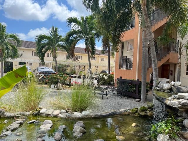 Apartment for Rent   Kingston 6