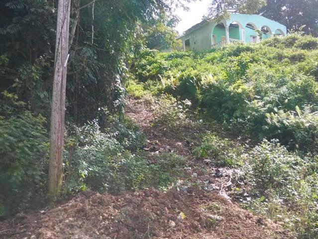 House for Sale   Oracabessa