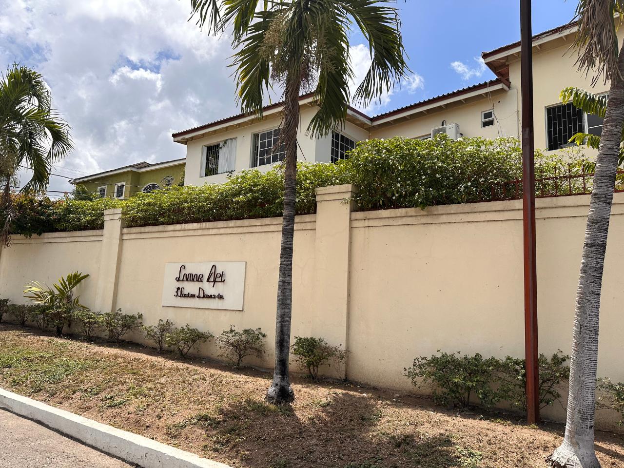 Apartment for Rent   Kingston 6