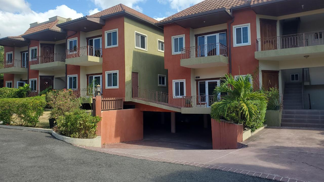 Apartment for Rent   Kingston 6