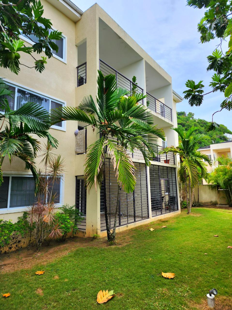 Apartment for Rent   Kingston 8