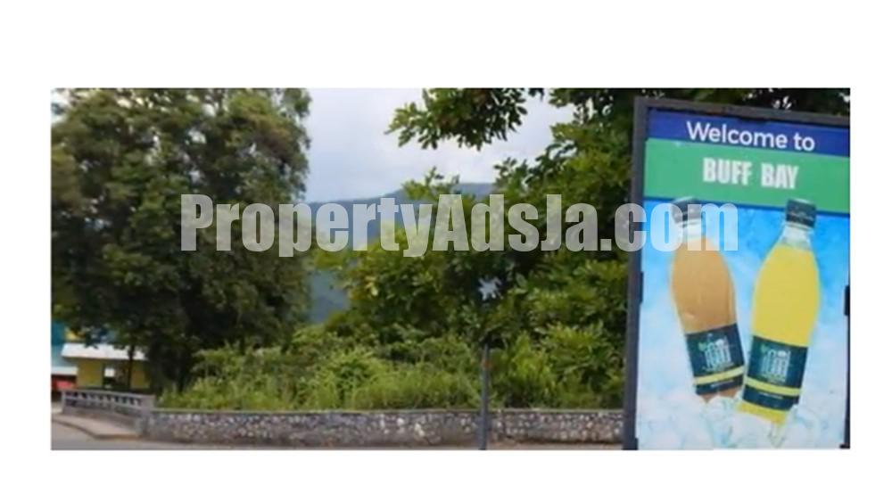 Commercial/farm land For Sale in Mullet Farm, Portland, Jamaica