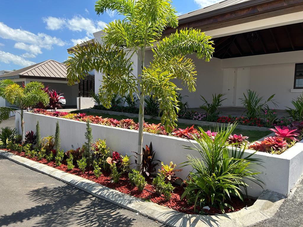 House for Rent   Kingston 6
