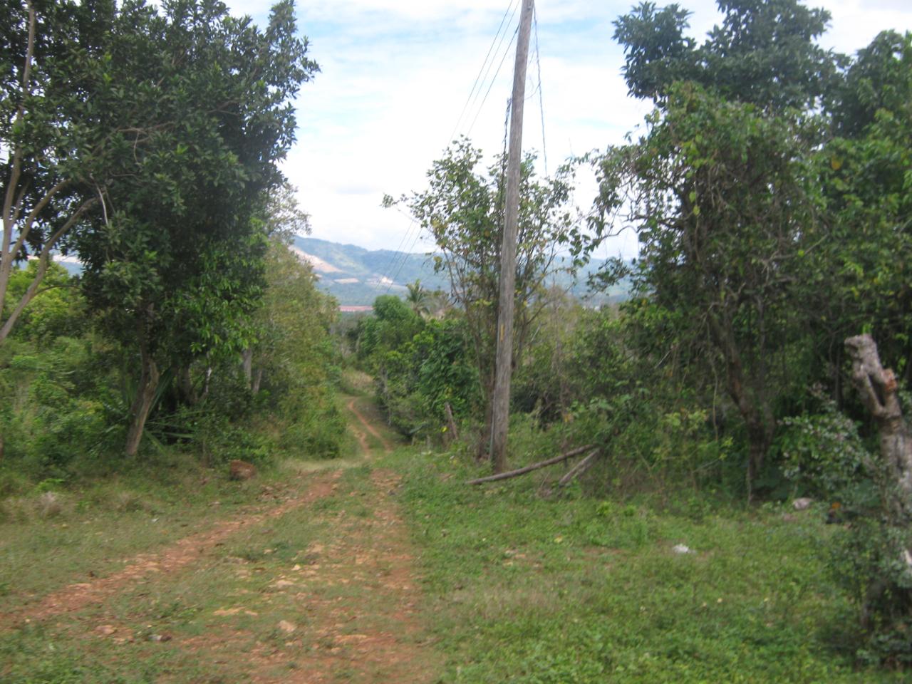 House for Sale   Linstead