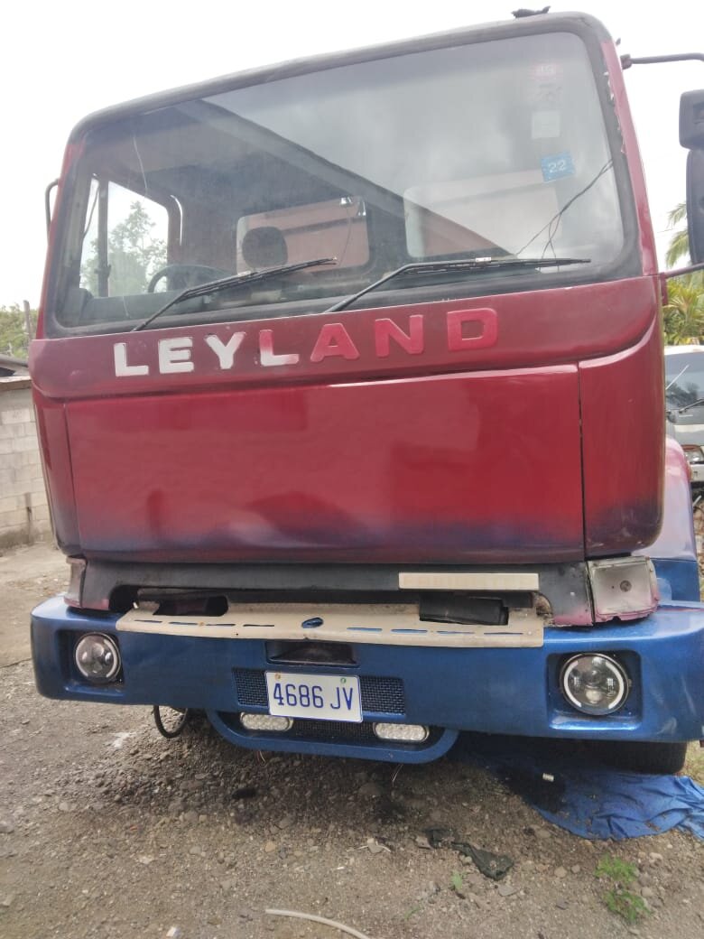 For Sale: 1996 Leyland