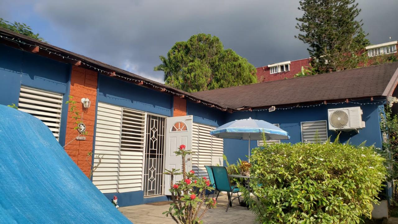 House for Sale   Kingston 8