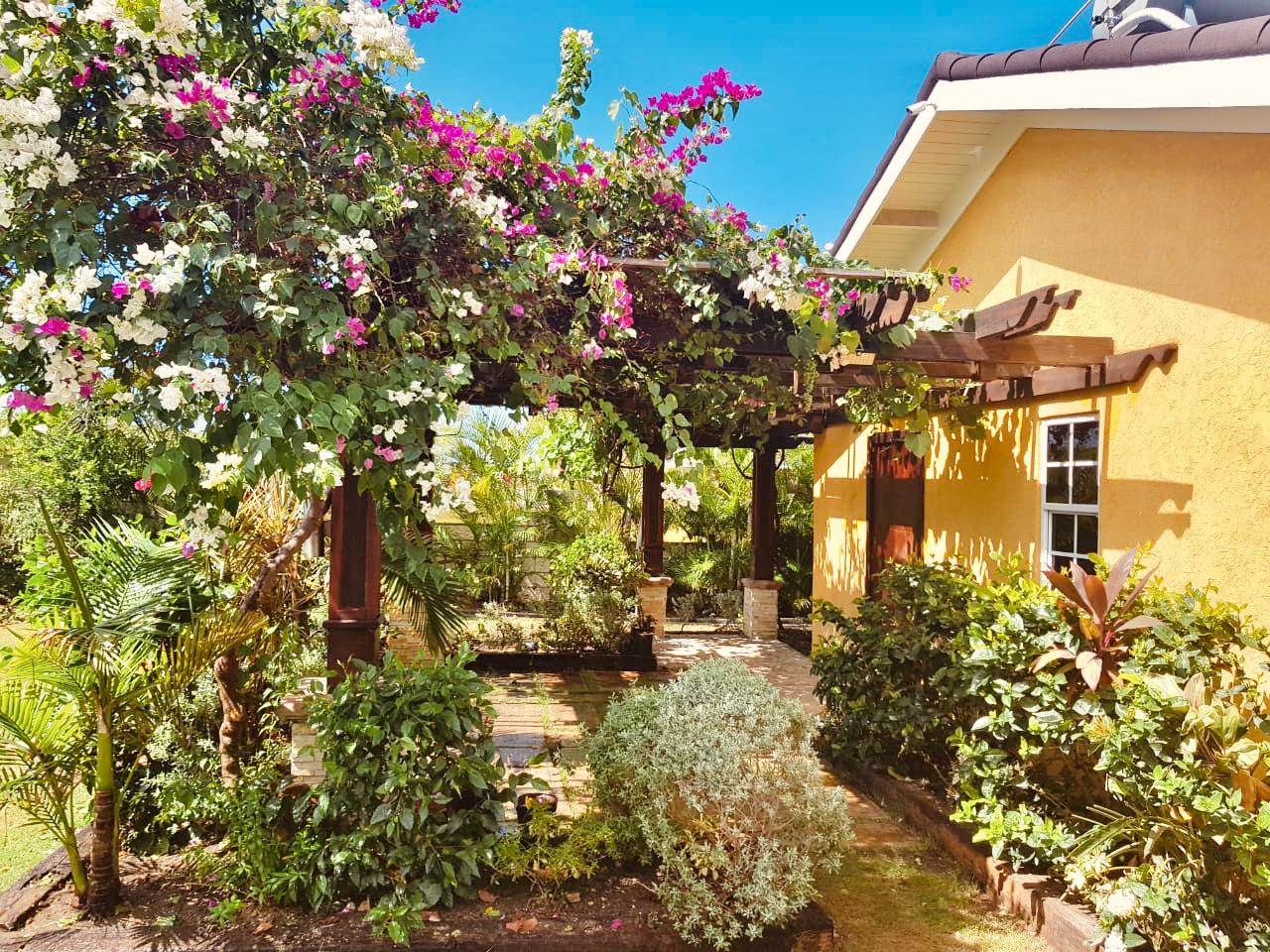 House for Rent   St. Ann's Bay