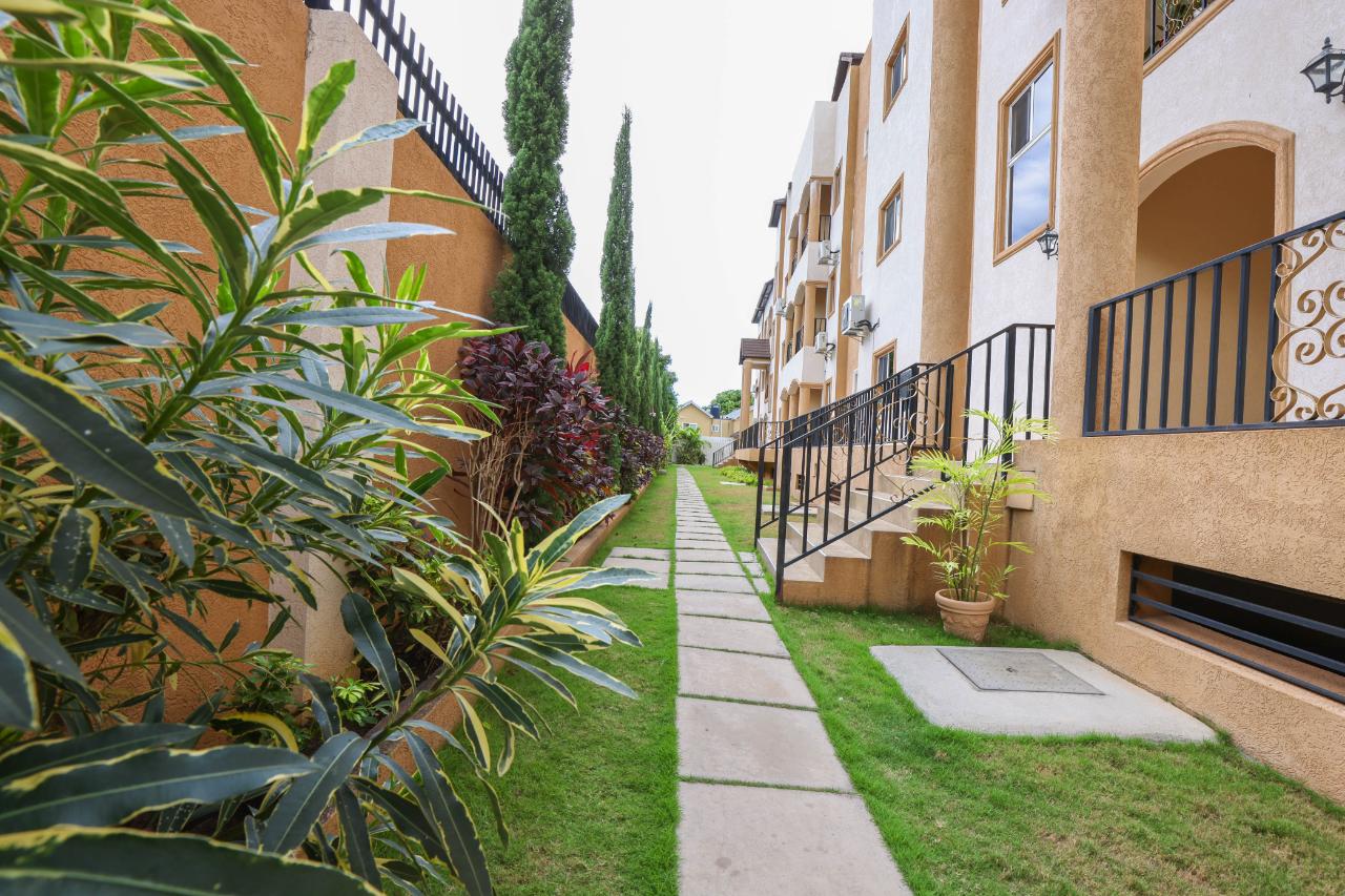 Apartment for Rent   Kingston 6