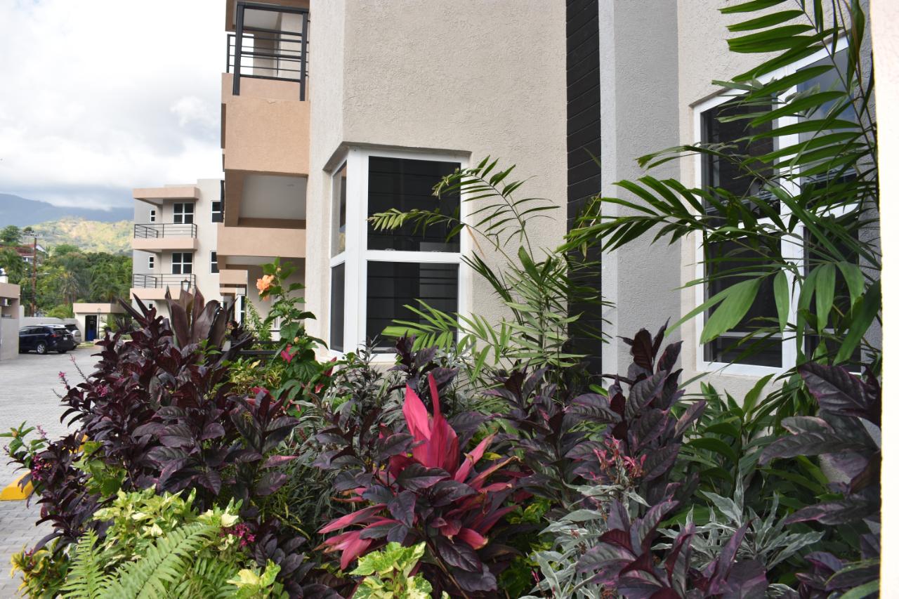 Apartment for Rent   Kingston 8