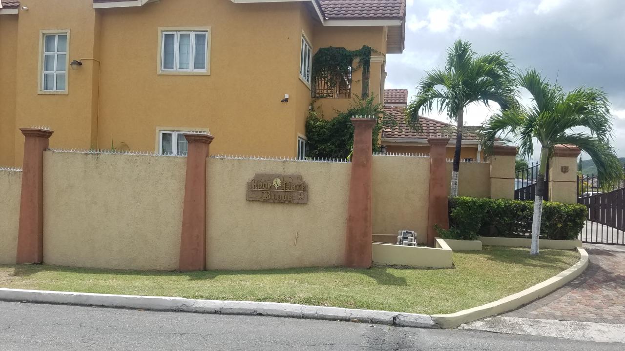 Apartment for Rent   Kingston 8