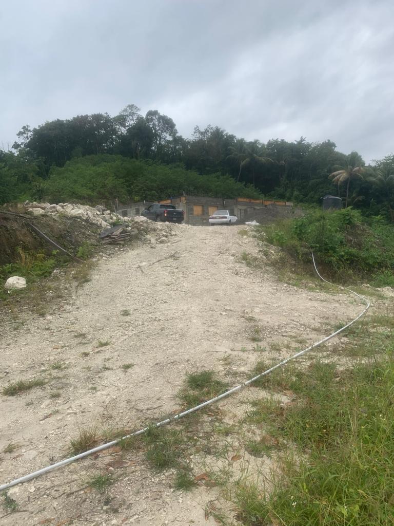 House for Sale   Buff Bay