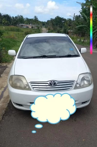 2002 Toyota corolla