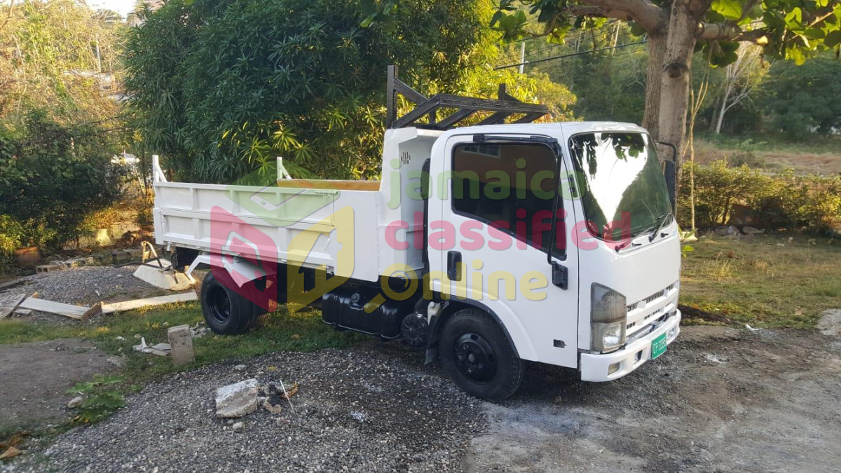 For Sale: 2010 Isuzu Truck