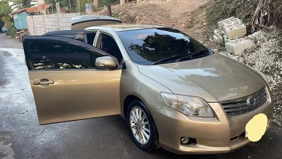 2010 Toyota axio