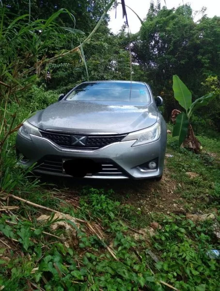 2010 Toyota mark x