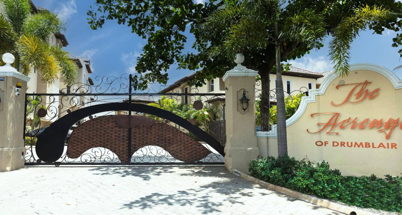 Apartment for Rent   Kingston 10