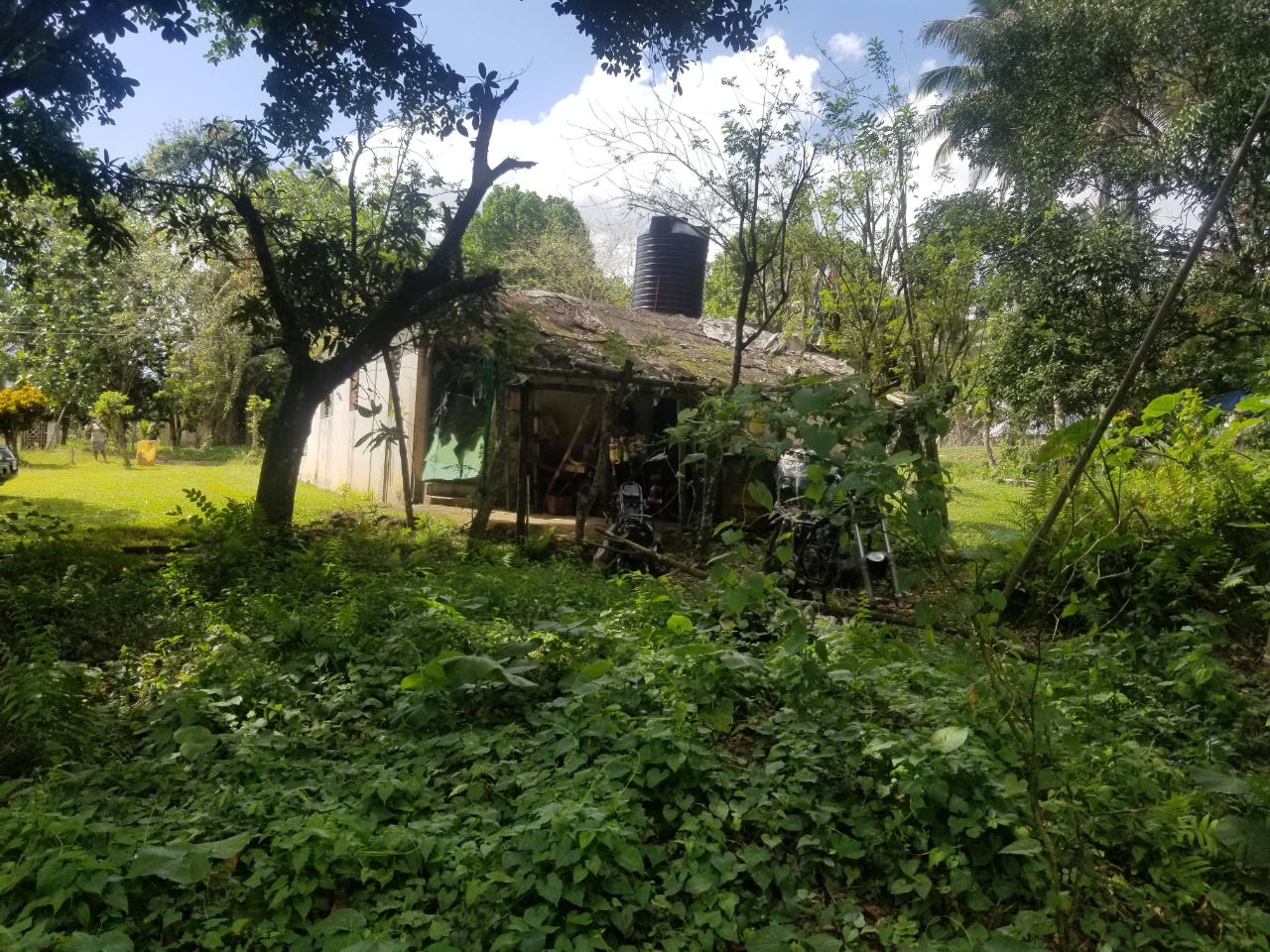 House for Sale   Ramble