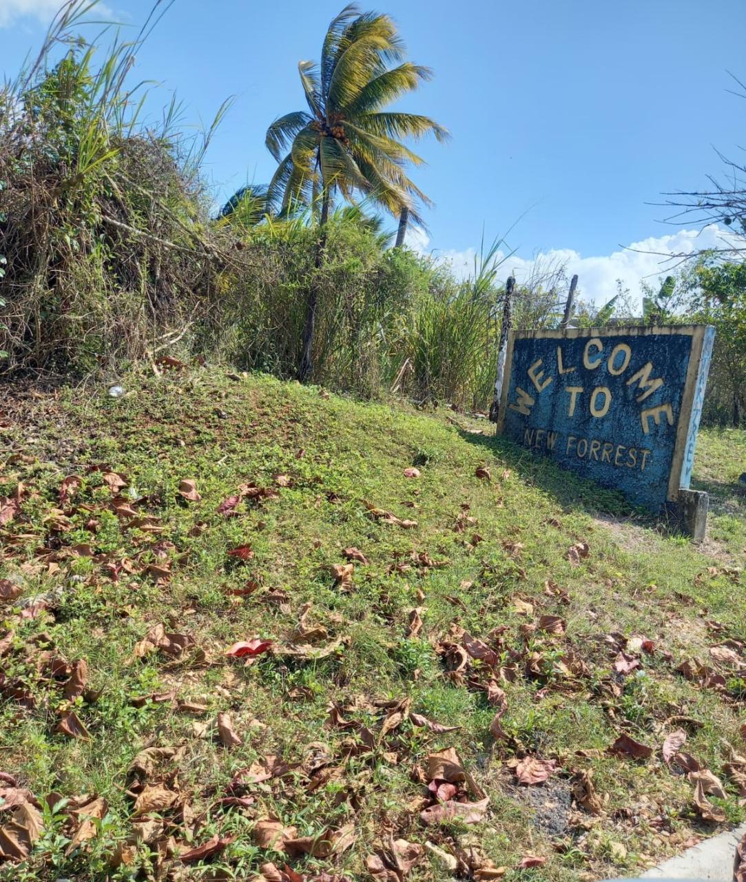 House for Sale   Duanvale