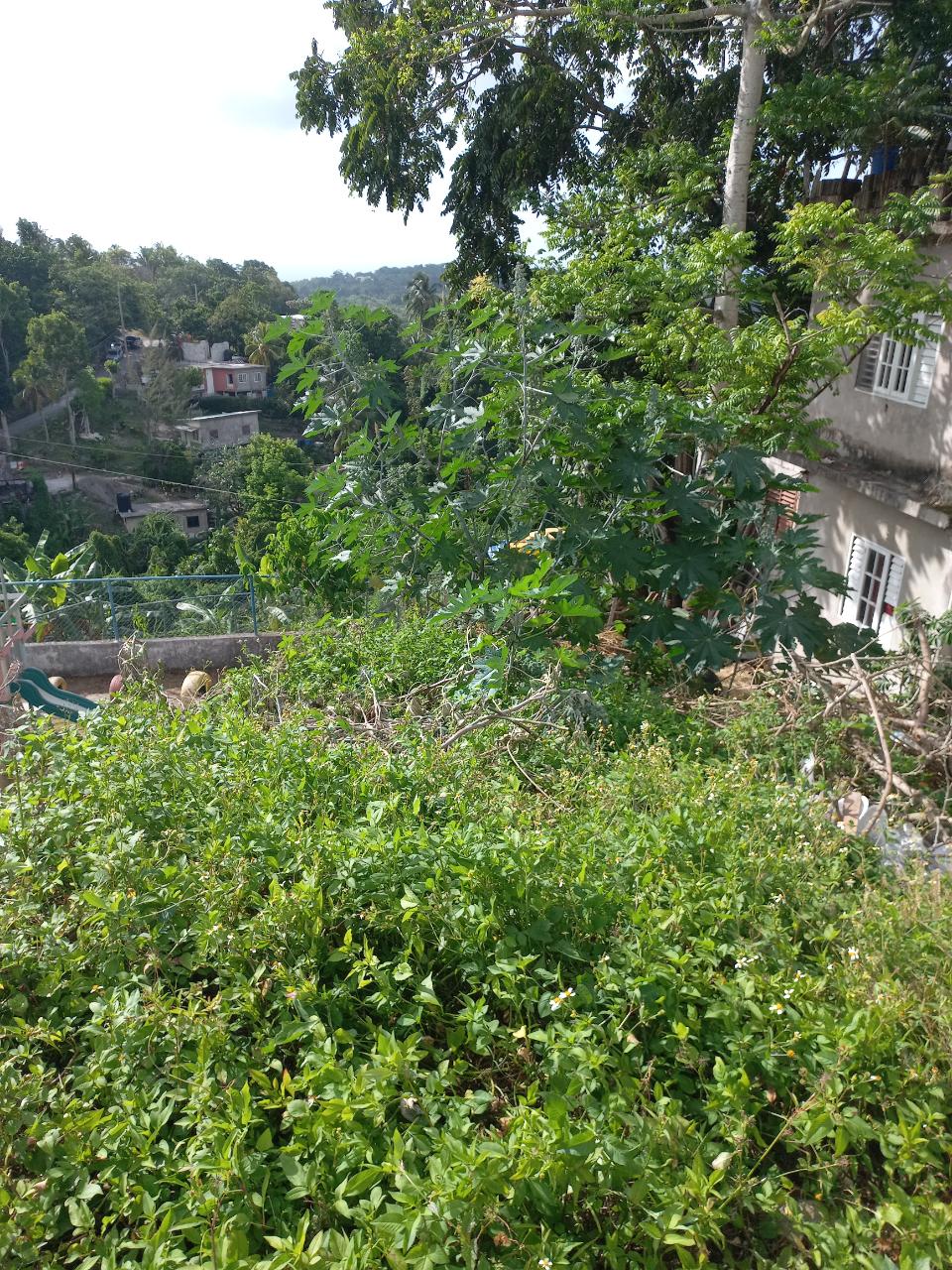 Residential Lot for Sale   Lodge