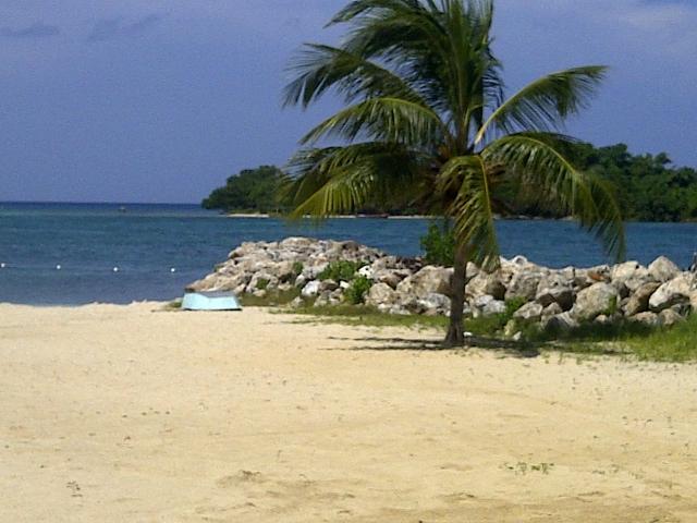 Apartment for Sale   Negril