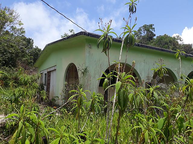 House for Private   Bamboo