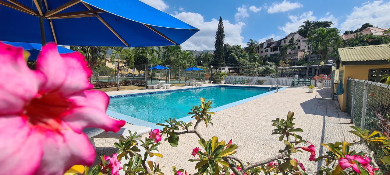 Townhouse for Rent   Kingston 8