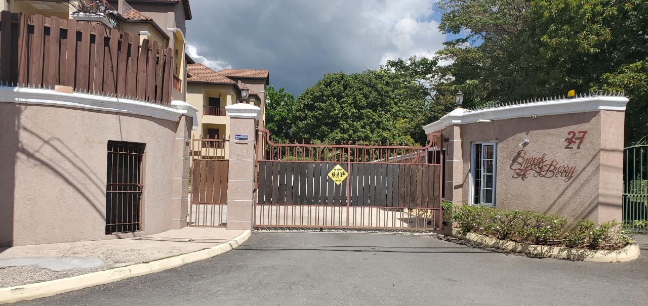 Apartment for Rent   Kingston 6