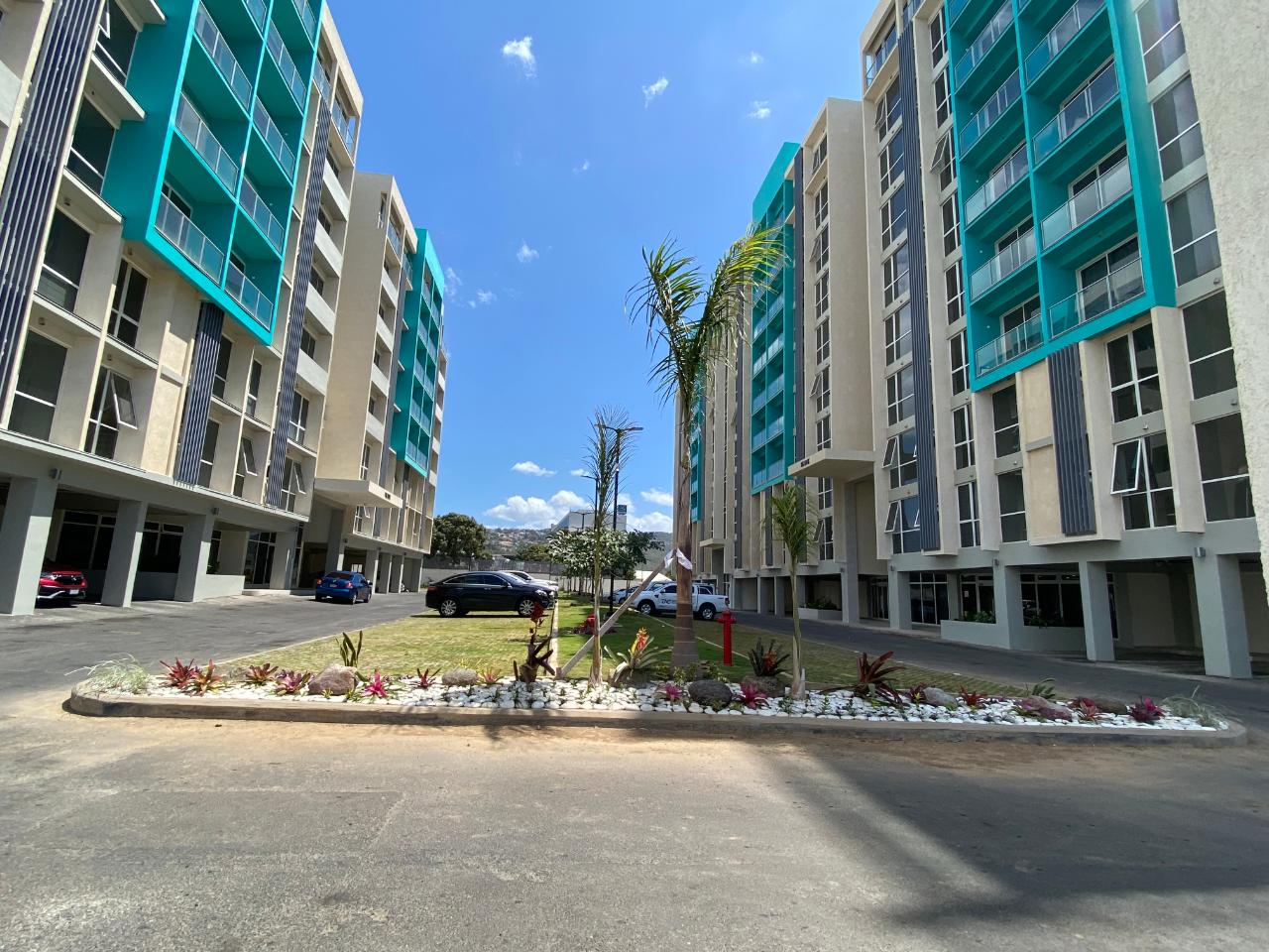 Apartment for Rent   Kingston 10