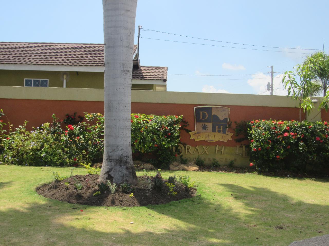 House for Rent   St. Ann's Bay