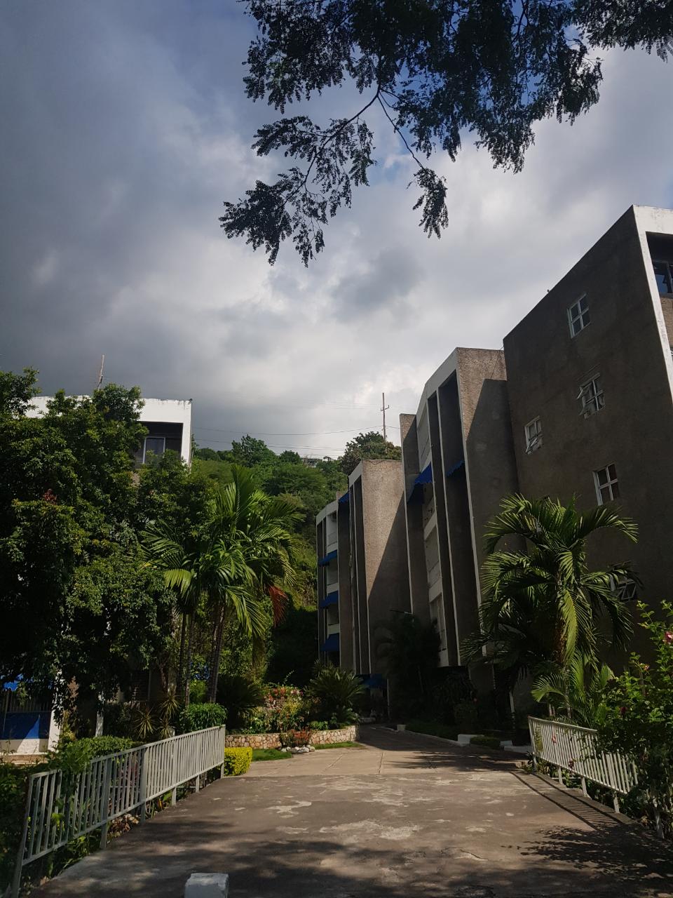 Apartment for Rent   Kingston 6