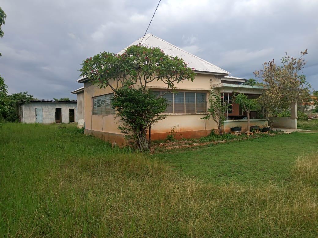 House for Sale   Black River