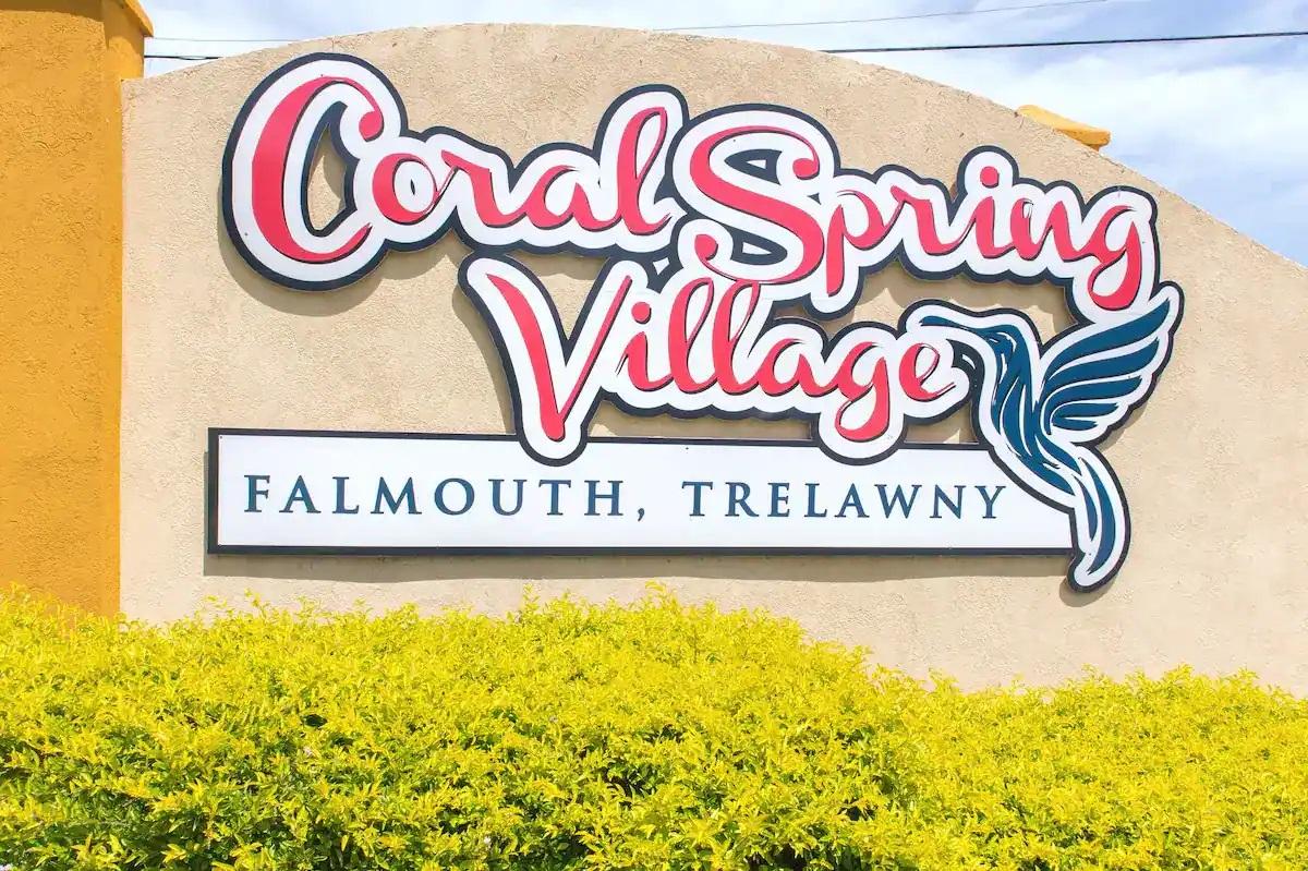 House for Rent   Coral Spring