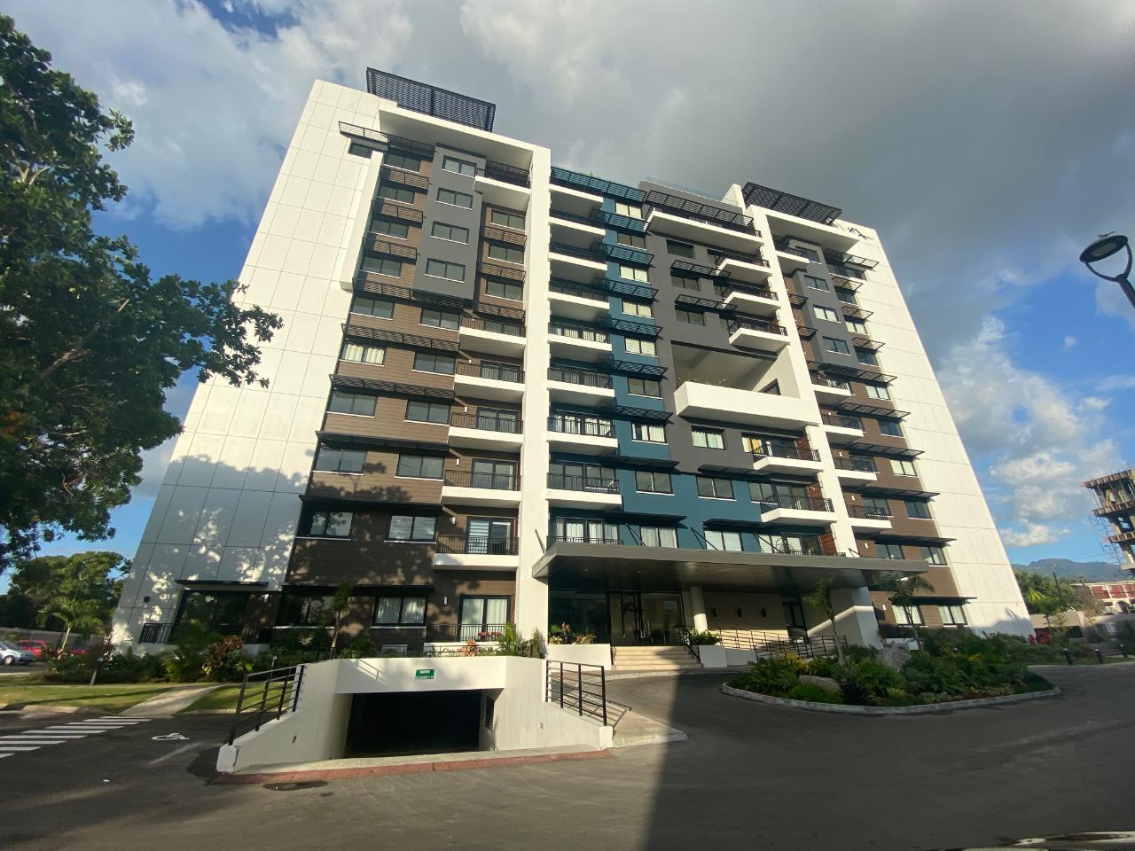 Apartment for Rent   Kingston 5