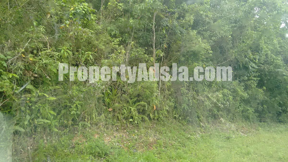 Commercial/farm land For Sale in Sligoville, St. Catherine, Jamaica