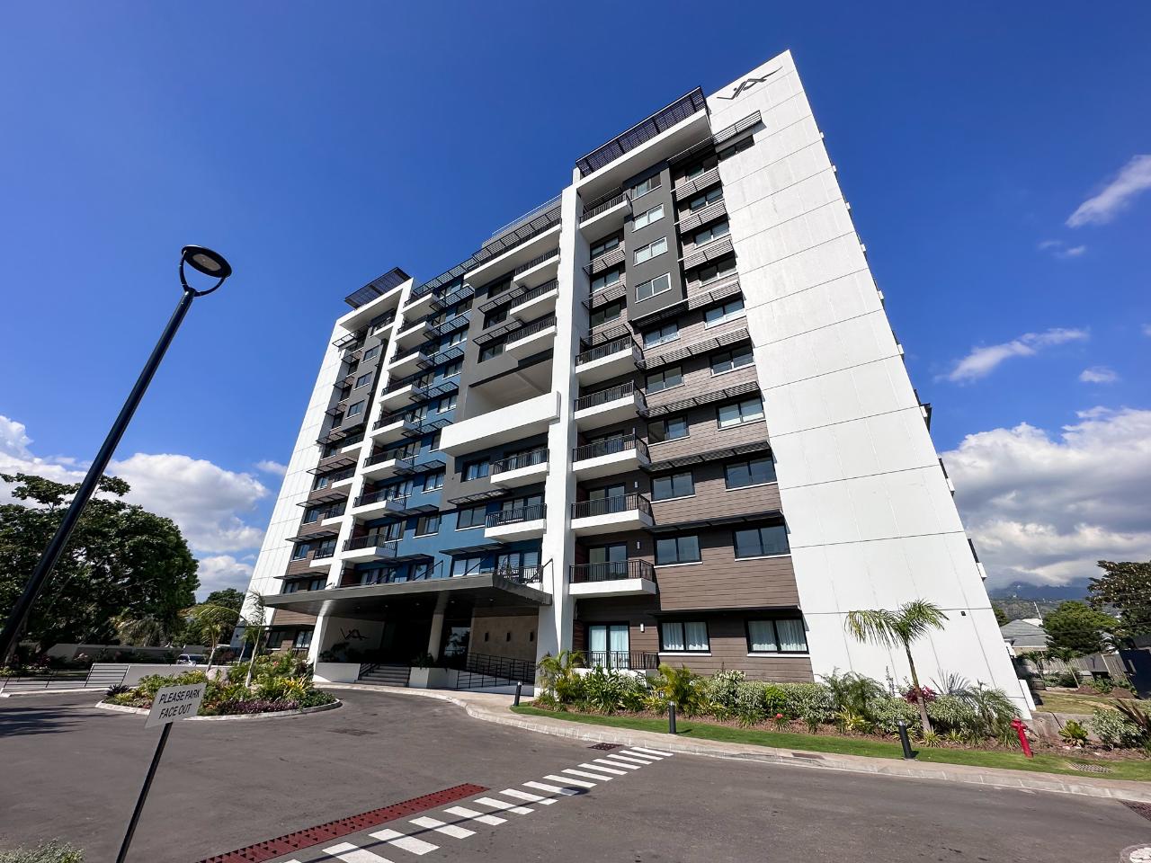 Apartment for Rent   Kingston 6