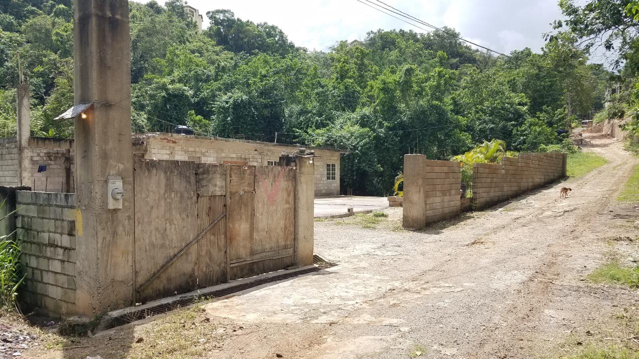 House for Private   Kingston 19