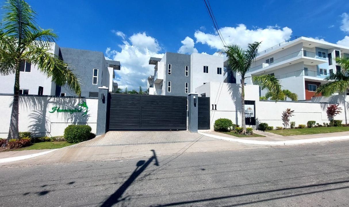 Apartment for Rent   Kingston 6