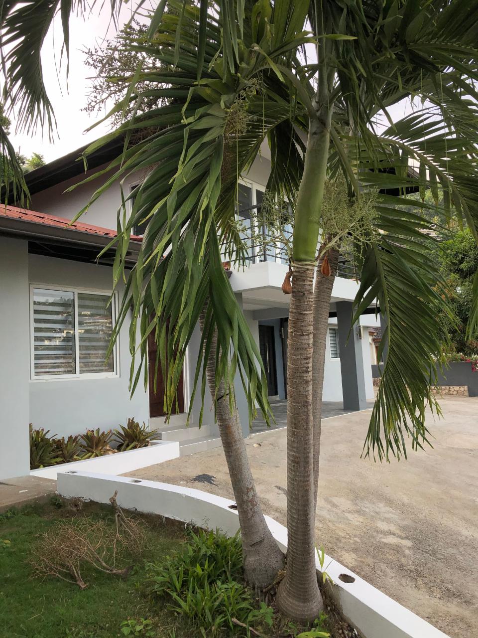 House for Rent   Kingston 19
