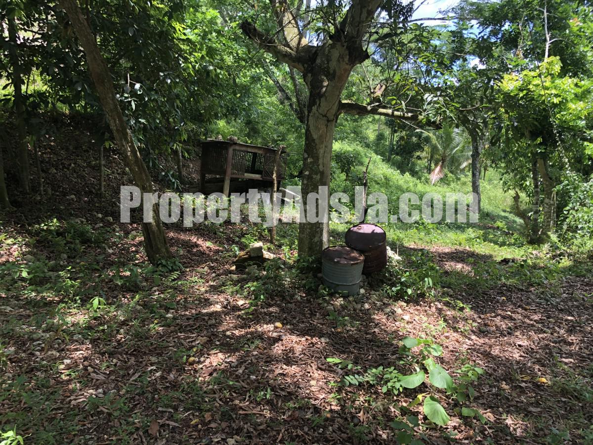 Commercial/farm land For Sale in Dover Castle Redwood St Catherine, St. Catherine, Jamaica