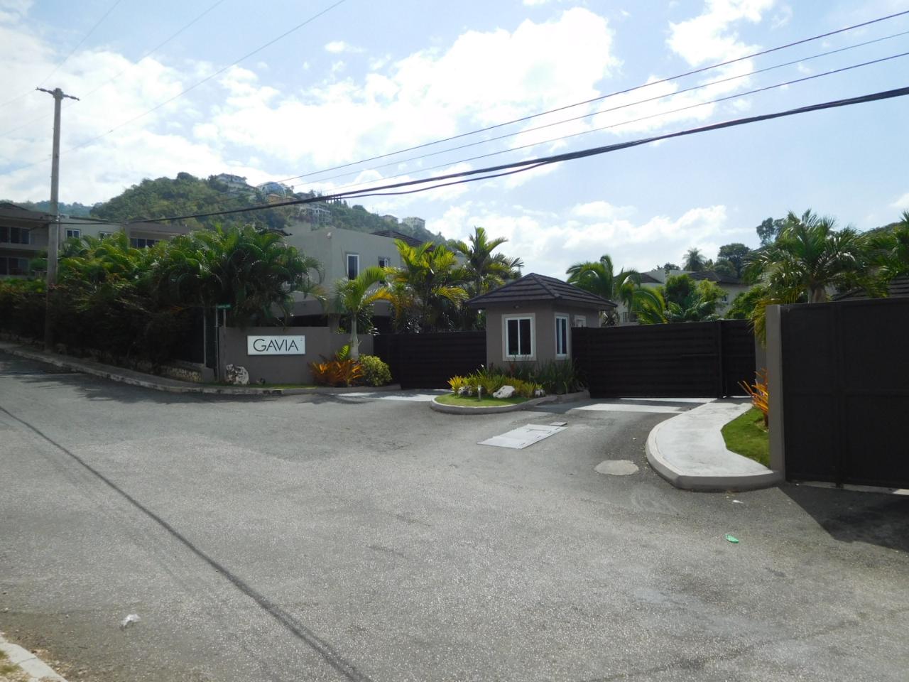 Apartment for Rent   Kingston 8
