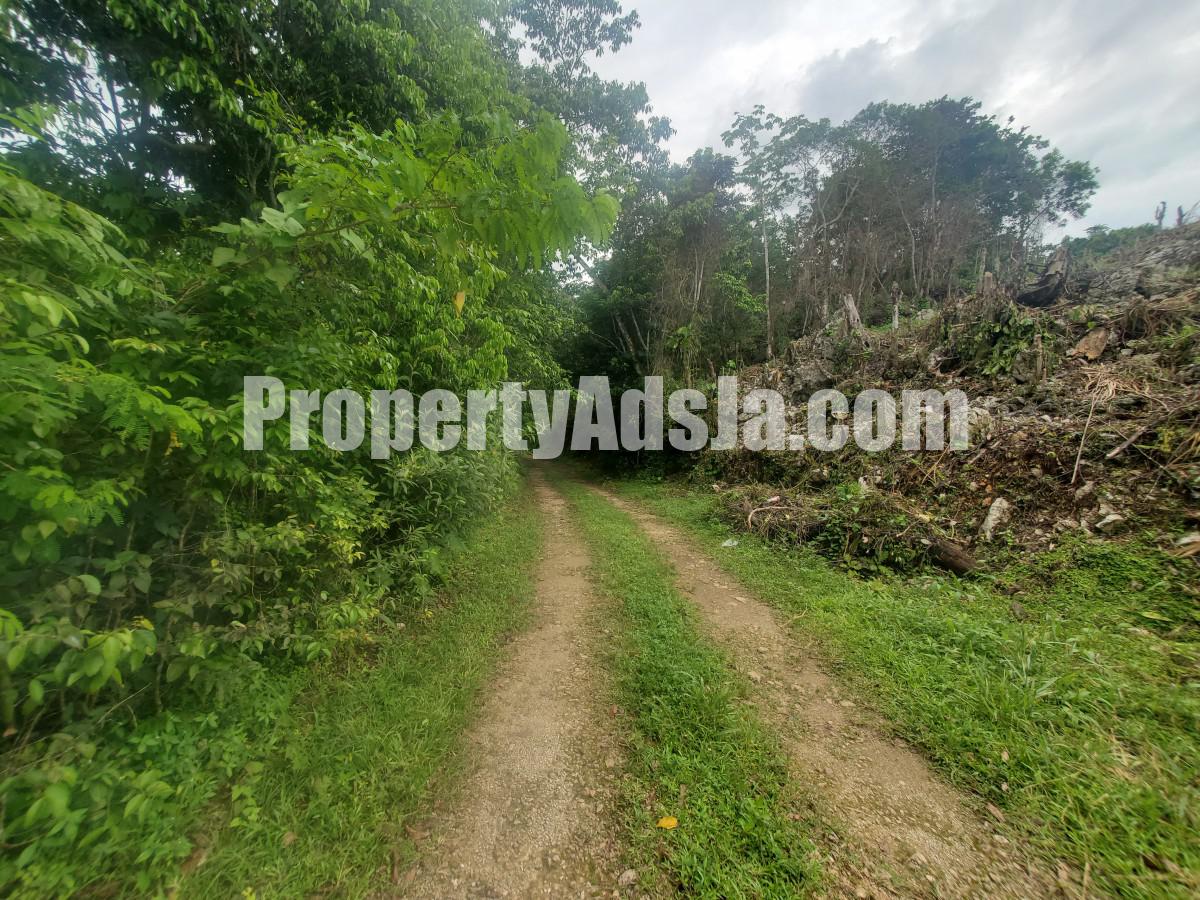 Residential lot For Sale in Coopers Hill, Kingston / St. Andrew, Jamaica