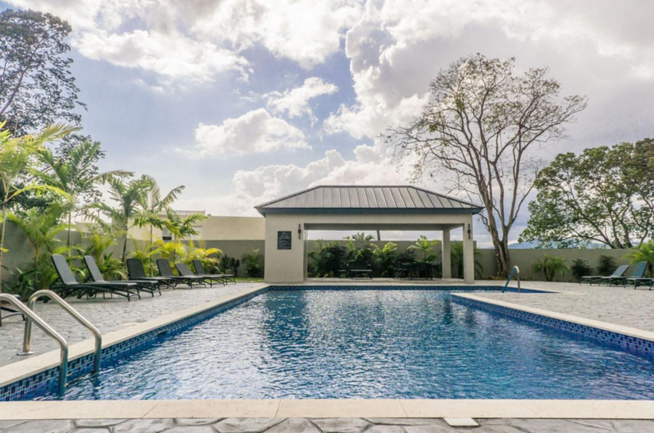 Apartment for Rent   Kingston 6